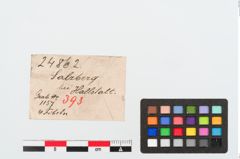 Etikett zu Bronzebrillenfibel (NHMW-PRAE-024862)